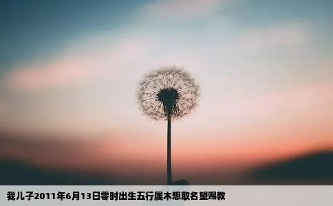 我儿子2011年6月13日零时出生五行属木想取名望赐教