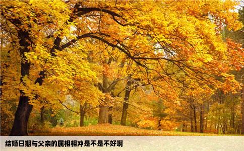 结婚日期与父亲的属相相冲是不是不好啊