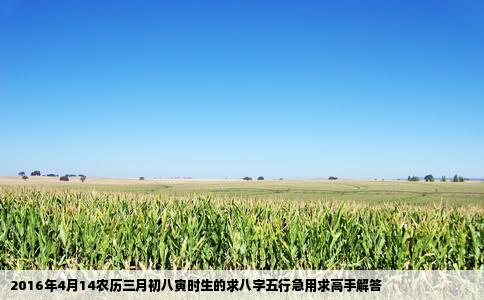 2016年4月14农历三月初八寅时生的求八字五行急用求高手解答