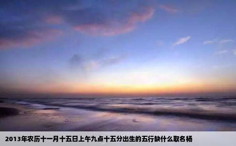 2013年农历十一月十五日上午九点十五分出生的五行缺什么取名杨