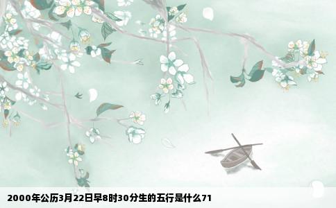 2000年公历3月22日早8时30分生的五行是什么71