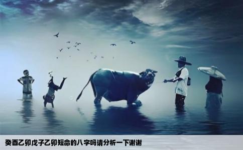 癸酉乙卯戊子乙卯短命的八字吗请分析一下谢谢