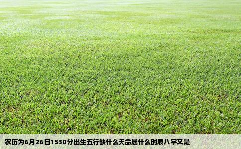 农历为6月26日1530分出生五行缺什么天命属什么时辰八字又是
