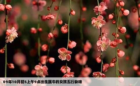 09年10月初5上午9点出生属牛的女孩五行缺啥