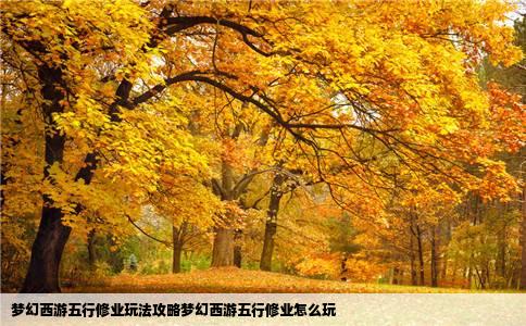 梦幻西游五行修业玩法攻略梦幻西游五行修业怎么玩