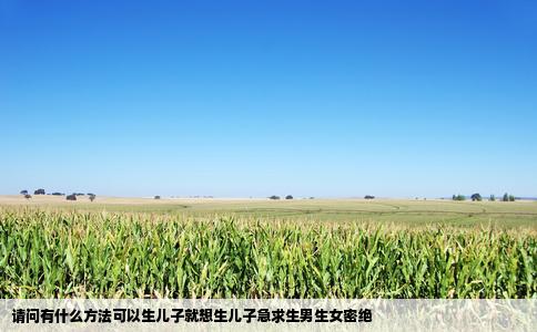 请问有什么方法可以生儿子就想生儿子急求生男生女密绝