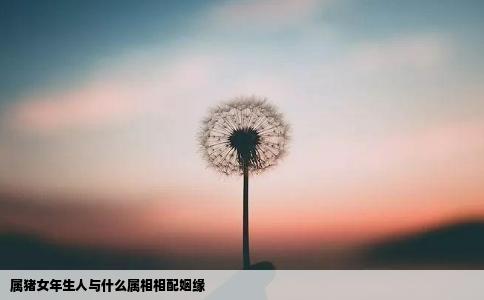 属猪女年生人与什么属相相配姻缘