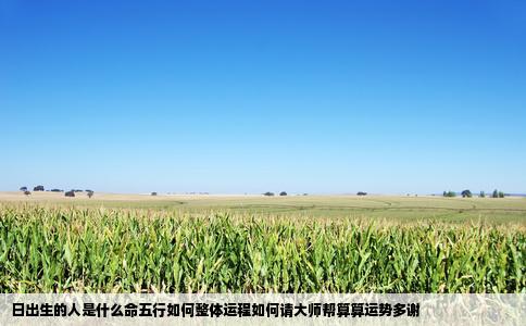 日出生的人是什么命五行如何整体运程如何请大师帮算算运势多谢