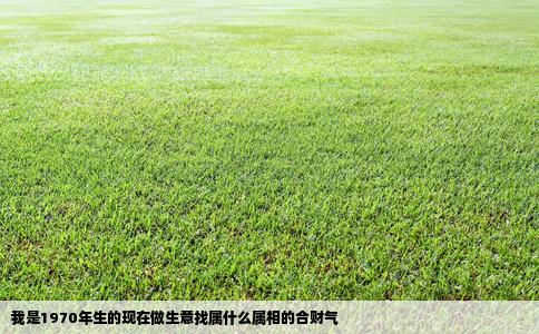 我是1970年生的现在做生意找属什么属相的合财气