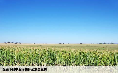 想算下命中五行缺什么怎么算的