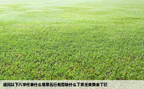 请问以下八字代表什么意思五行有否缺什么丁亥壬寅癸未丁巳