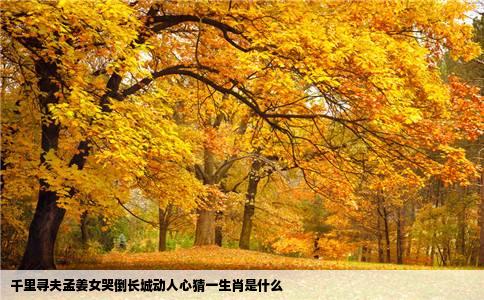 千里寻夫孟姜女哭倒长城动人心猜一生肖是什么