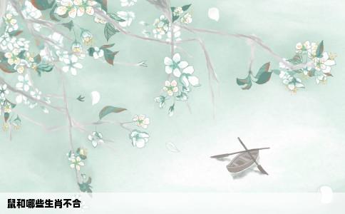 鼠和哪些生肖不合