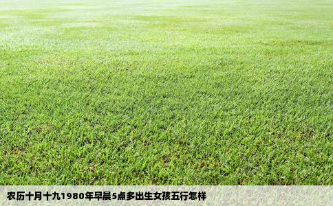 农历十月十九1980年早晨5点多出生女孩五行怎样
