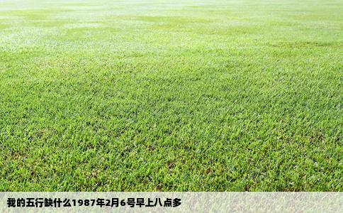 我的五行缺什么1987年2月6号早上八点多