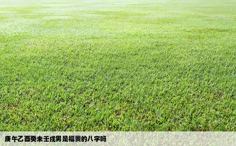 庚午乙酉癸未壬戌男是福贵的八字吗