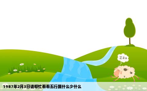 1987年2月3日请帮忙看看五行属什么少什么