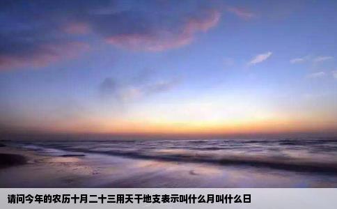 请问今年的农历十月二十三用天干地支表示叫什么月叫什么日