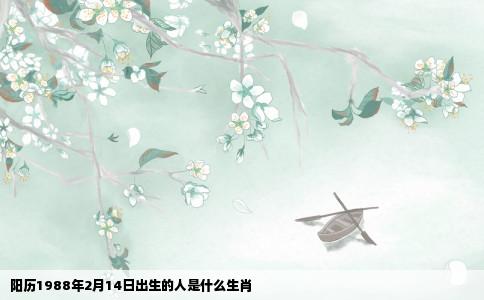 阳历1988年2月14日出生的人是什么生肖