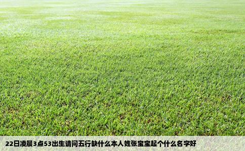 22日凌晨3点53出生请问五行缺什么本人姓张宝宝起个什么名字好