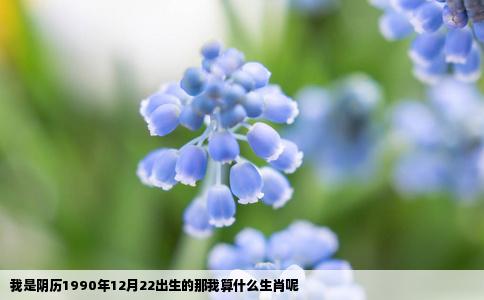 我是阴历1990年12月22出生的那我算什么生肖呢