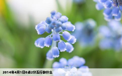 2014年4月1日0点2分五行缺什么