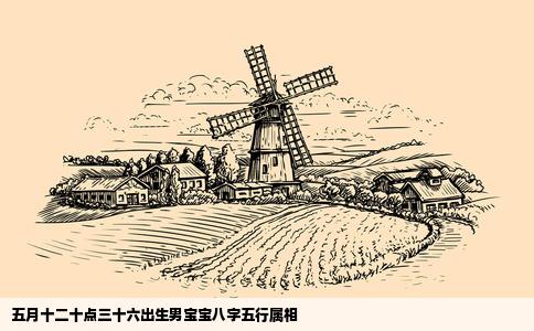 五月十二十点三十六出生男宝宝八字五行属相