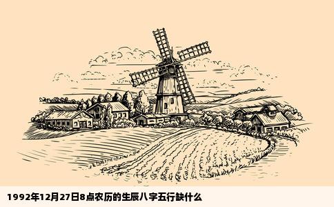 1992年12月27日8点农历的生辰八字五行缺什么