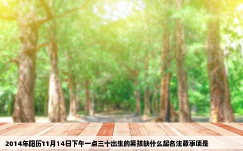 2014年阳历11月14日下午一点三十出生的男孩缺什么起名注意事项是