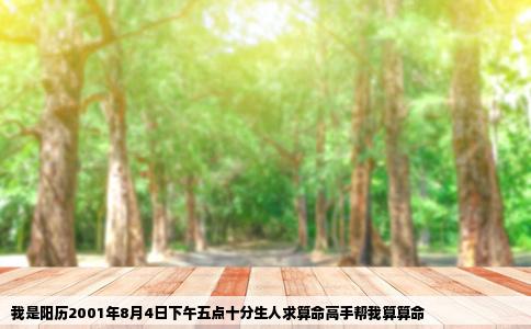 我是阳历2001年8月4日下午五点十分生人求算命高手帮我算算命