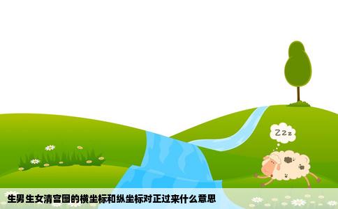 生男生女清宫图的横坐标和纵坐标对正过来什么意思