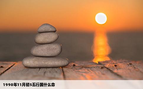 1990年11月初5五行属什么命