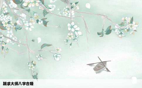 跪求大师八字合婚