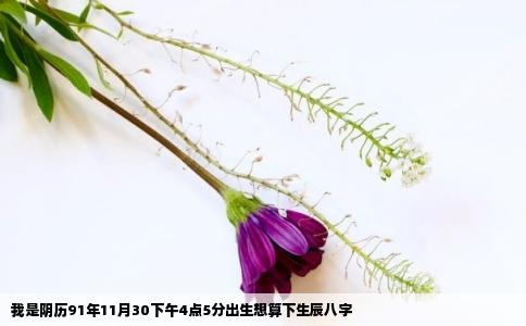 我是阴历91年11月30下午4点5分出生想算下生辰八字