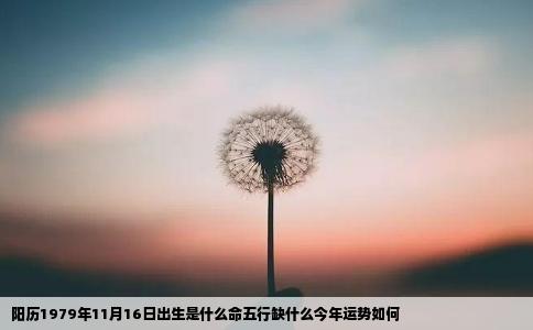 阳历1979年11月16日出生是什么命五行缺什么今年运势如何