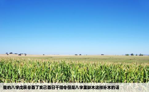 我的八字戊辰辛酉丁亥己酉日干得令但是八字里缺木这样补木的话