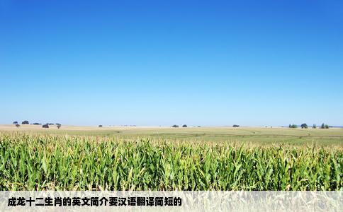 成龙十二生肖的英文简介要汉语翻译简短的