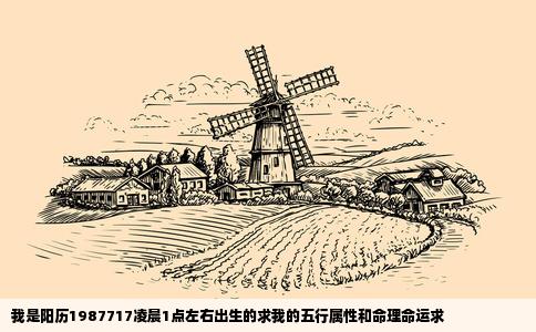 我是阳历1987717凌晨1点左右出生的求我的五行属性和命理命运求
