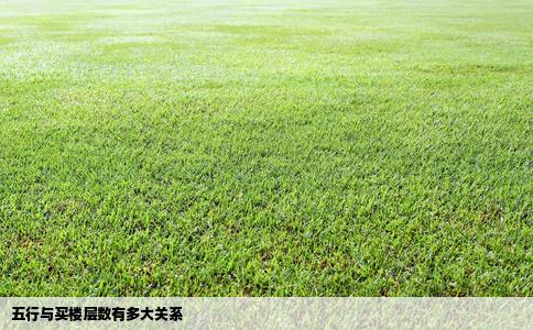 五行与买楼层数有多大关系