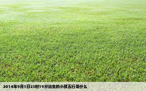 2014年9月1日23时19分出生的小孩五行是什么