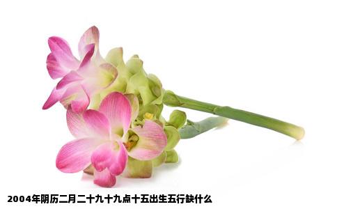 2004年阴历二月二十九十九点十五出生五行缺什么