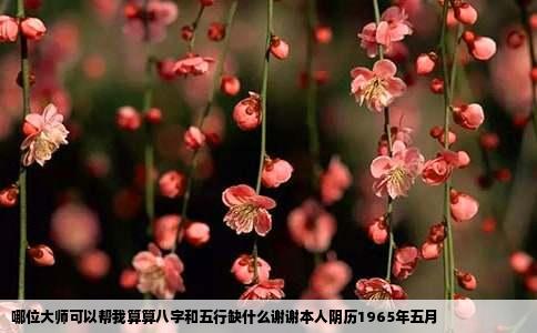 哪位大师可以帮我算算八字和五行缺什么谢谢本人阴历1965年五月