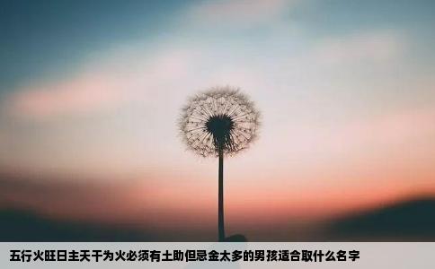 五行火旺日主天干为火必须有土助但忌金太多的男孩适合取什么名字