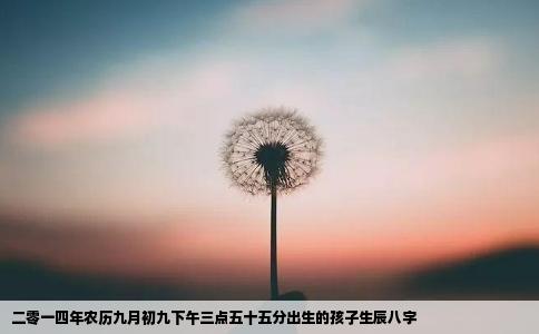二零一四年农历九月初九下午三点五十五分出生的孩子生辰八字