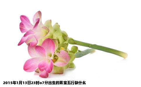 2015年1月13日23时o7分出生的男宝五行缺什幺