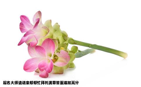 起名大师请进来帮帮忙拜托满意答案追加高分