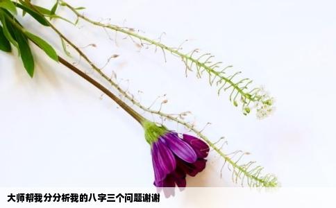 大师帮我分分析我的八字三个问题谢谢