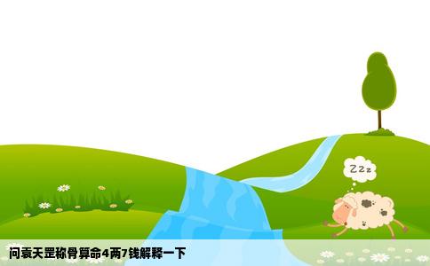 问袁天罡称骨算命4两7钱解释一下