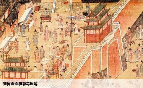 如何看面相算命图解