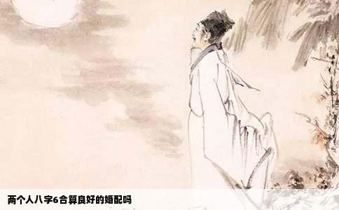 两个人八字6合算良好的婚配吗